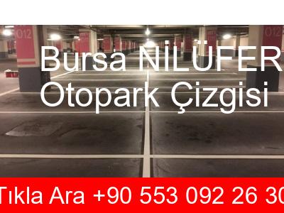 Bursa