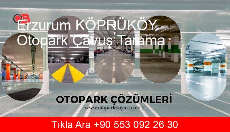 Erzurum