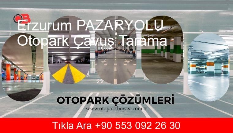Erzurum