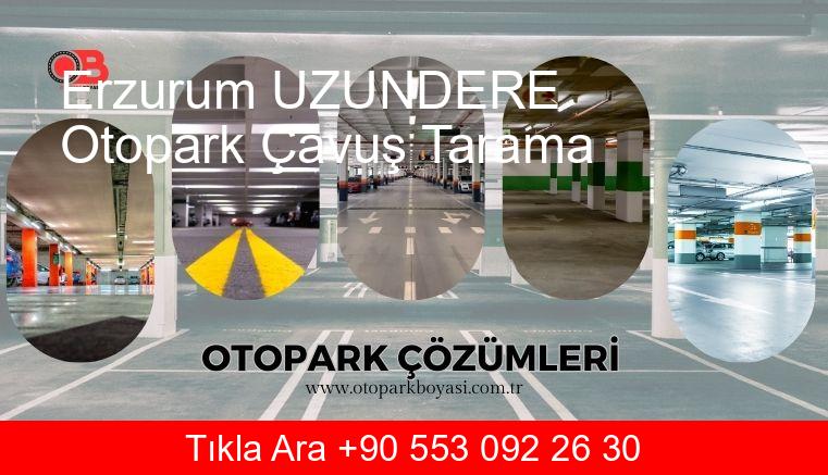 Erzurum